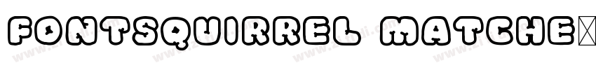 FontSquirrel Matche字体转换